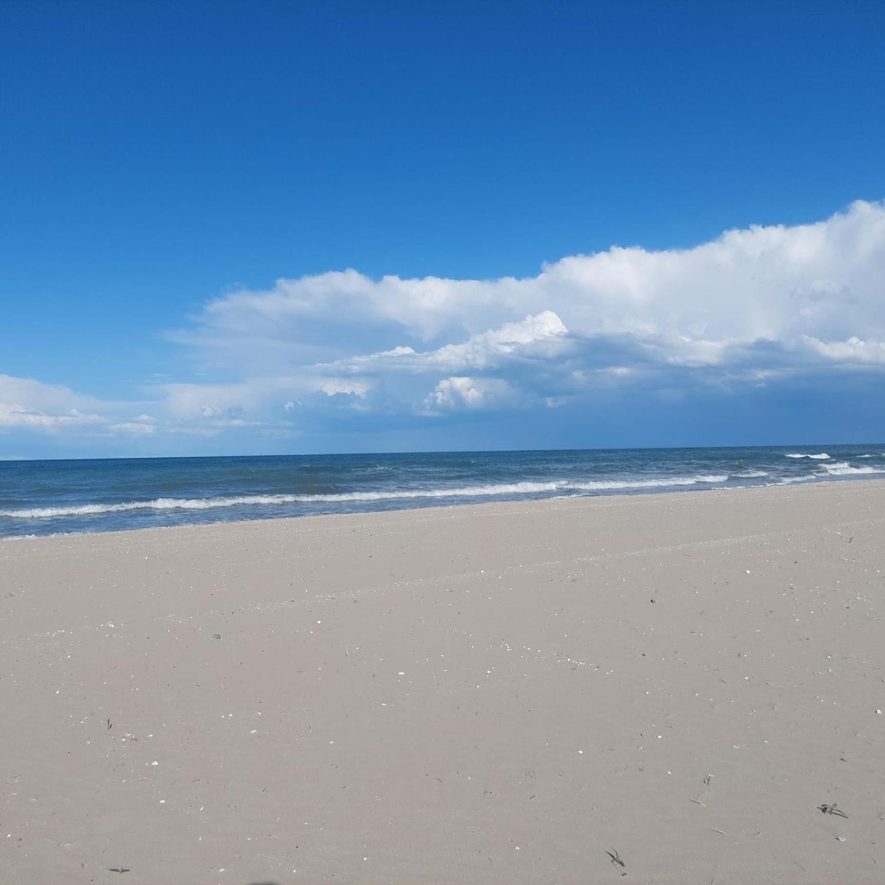 Meet Cervia